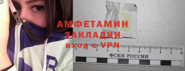 тгк Пересвет