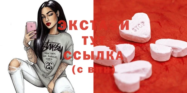 тгк Пересвет