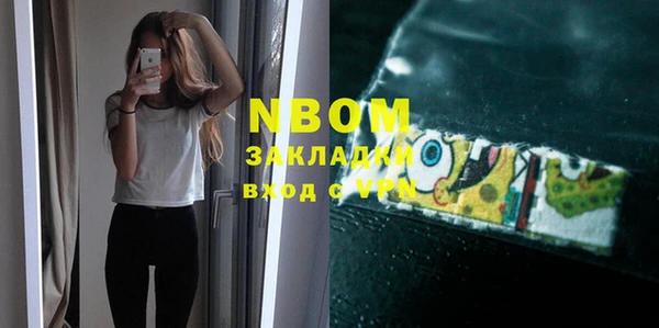 тгк Пересвет