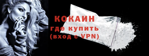тгк Пересвет