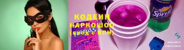 тгк Пересвет