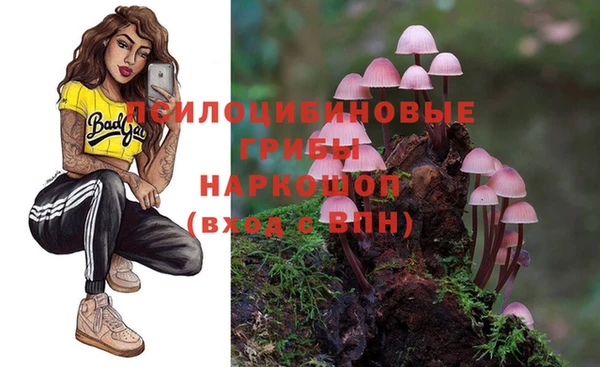 МДПВ Переславль-Залесский