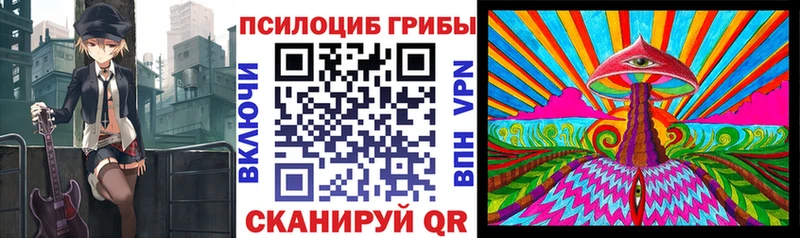 что такое наркотик  Олонец  Псилоцибиновые грибы Psilocybe 